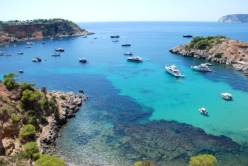 porroig2
