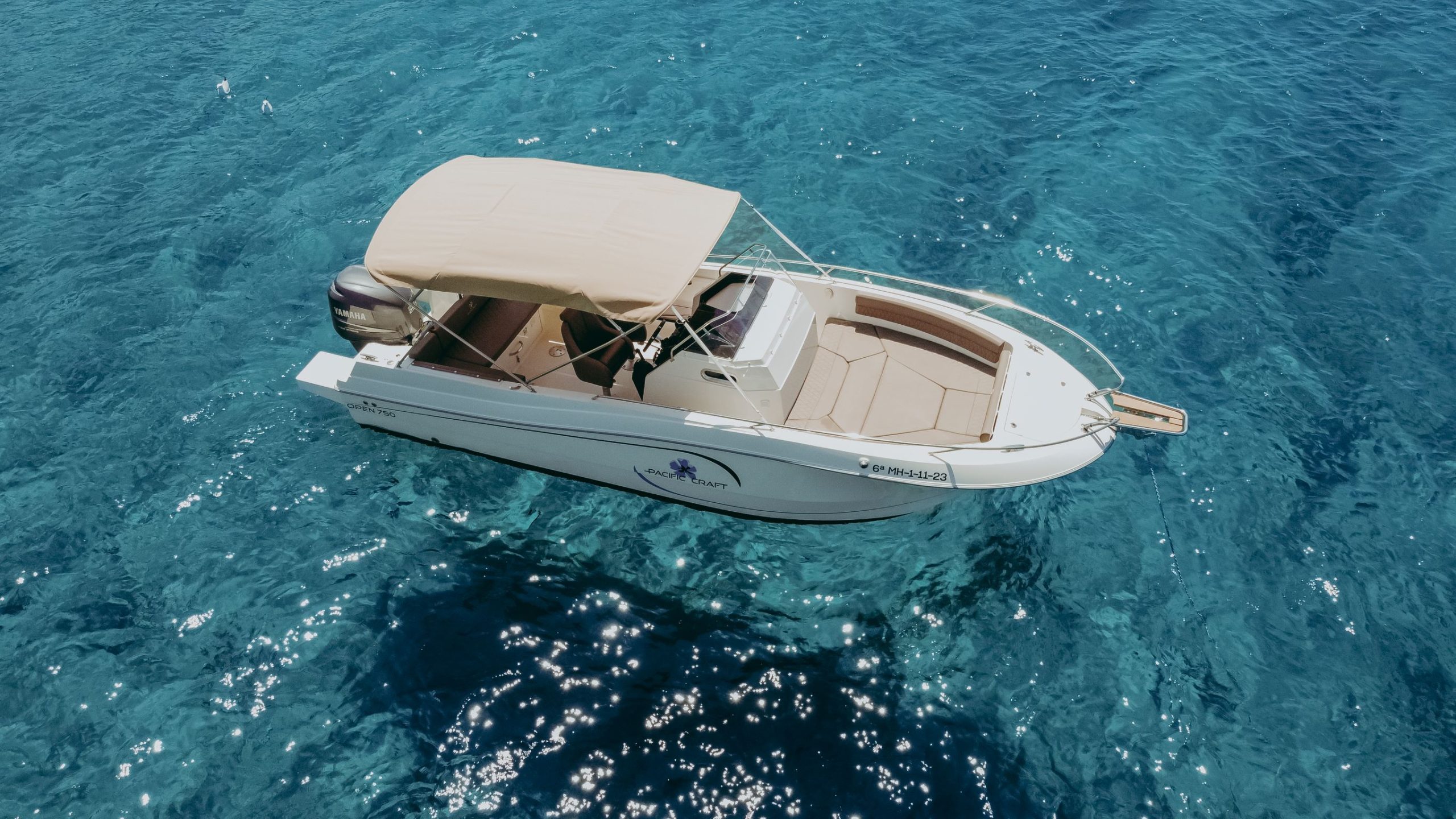 Pacific Craft 750 OPEN Paradis